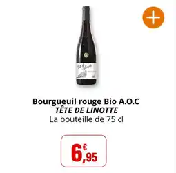 Coccinelle Express Bourgueuil rouge bio a.o.c tête de linotte offre