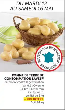 U Express Pomme de terre de consommation lavee offre