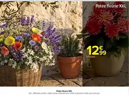 Carrefour Drive Poêle fleurie xxl offre