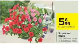 Carrefour Drive Suspension fleurie offre