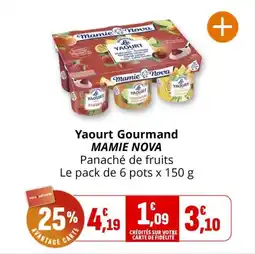 Coccimarket Yaourt gourmand mamie nova offre