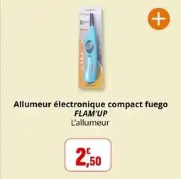 Coccinelle Supermarché Allumeur électronique compact fuego flam'up offre