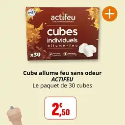 Coccinelle Supermarché Cube allume feu sans odeur actifeu offre