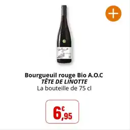 Coccinelle Supermarché Bourgueuil rouge bio a.o.c tête de linotte offre