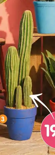 b&m Grand cactus artificiel en pot offre