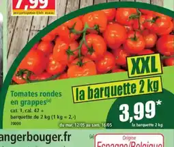 Norma Tomates rondes en grappes offre