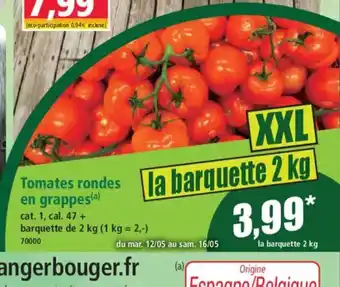 Norma Tomates rondes en grappes offre