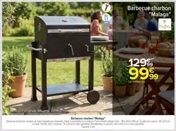 Carrefour Barbecue charbon Malaga offre