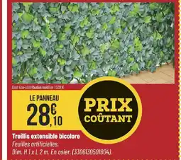 Bricorama Treillis extensible bicolore offre