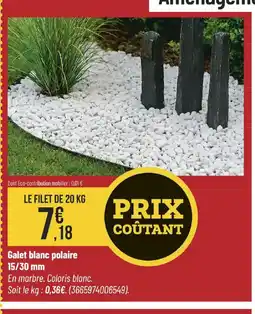 Bricorama Galet blanc polaire 15/30 mm offre