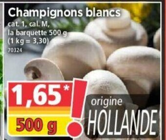 Norma Champignons Blancs offre