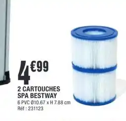 La Foir'Fouille BESTWAY 2 cartouches spa offre