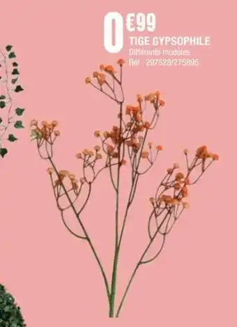 La Foir'Fouille Tige gypsophile offre