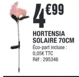 La Foir'Fouille Hortensia solaire offre