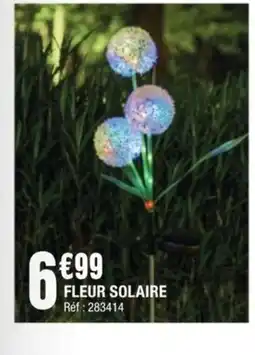 La Foir'Fouille Fleur solaire offre