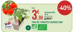 Botanic Trio de tomates cerises bio offre