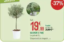 Botanic Olivier 1/4 tige offre
