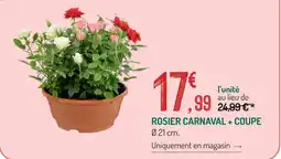 Botanic Rosier carnaval + coupe offre
