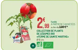 Botanic Ferme de sainte marthe collection de plants de légumes bio offre
