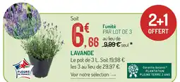 Botanic Lavande offre