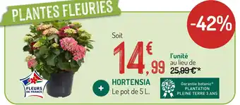 Botanic Hortensia offre