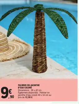 E.Leclerc Palmier en jacinthe d'eau coloré offre