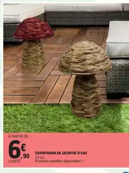 E.Leclerc Champignon en jacinthe d'eau offre