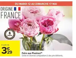 Carrefour Market Foire aux Pivoines offre