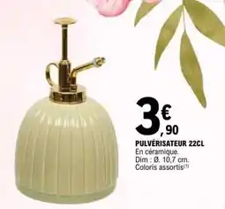 E.Leclerc PULVÉRISATEUR 22CL offre