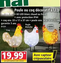 Norma I-glow poule ou coq décoratif à led offre
