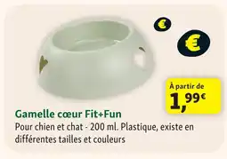 Maxi Zoo Fit+fun gamelle cœur offre