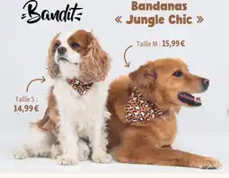 Maxi Zoo Bandit bandana jungle chic offre