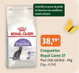 Maxi Zoo Royal canin croquettes 37 offre