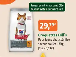 Maxi Zoo Hills croquettes offre
