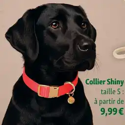 Maxi Zoo Collier shiny offre