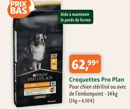 Maxi Zoo Pro plan croquettes offre