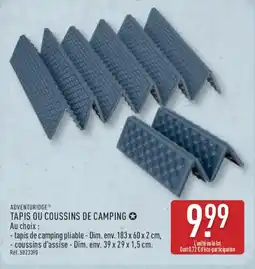 ALDI ADVENTURIDGE Tapis ou coussins de camping offre