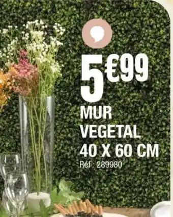 Mur vegetal