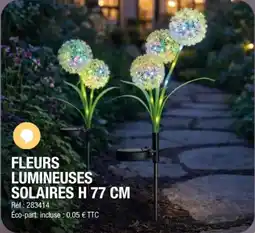 La Foir'Fouille Fleurs lumineuses solaires H offre