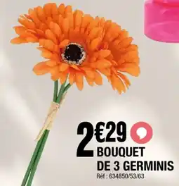La Foir'Fouille Bouquet de 3 germinis offre