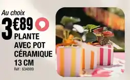 La Foir'Fouille Plante avec pot céramique offre