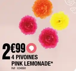 La Foir'Fouille 4 pivoines pink lemonade offre