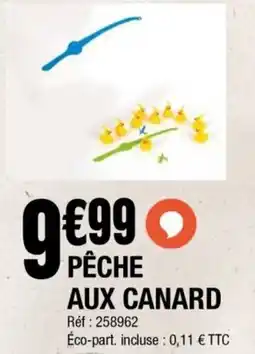 La Foir'Fouille Pêche aux canard offre