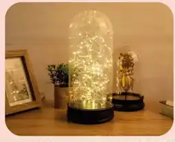 La Foir'Fouille Guirlande 30 leds offre