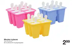 Zeeman Moules à glaces offre