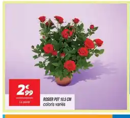 Netto Rosier pot offre