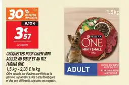 Netto PURINA ONE Croquettes pour chien mini adulte au boeuf et au riz offre