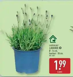ALDI Lavande offre