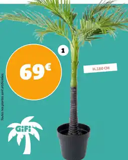 Gifi Gifi palmier offre