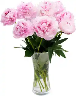 Auchan Sans marque bouquet de 10 pivoines offre